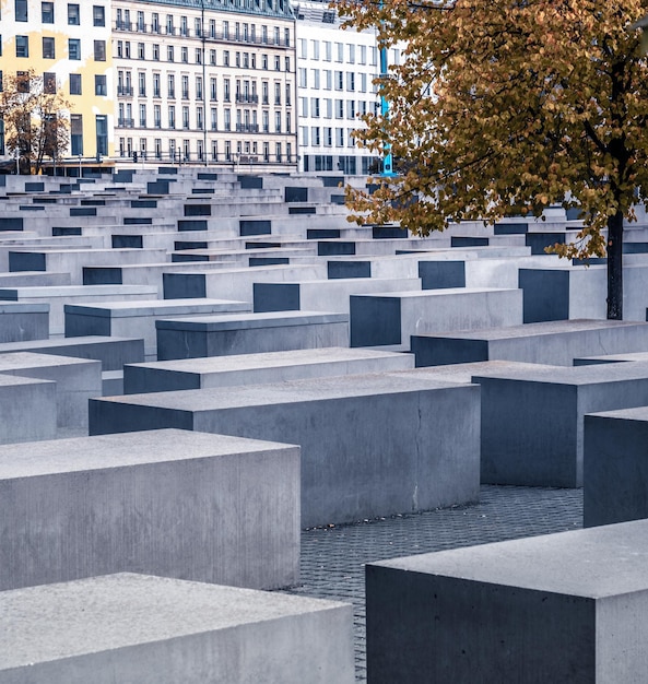 Tree between concrete slabs of Holocaust Memorial