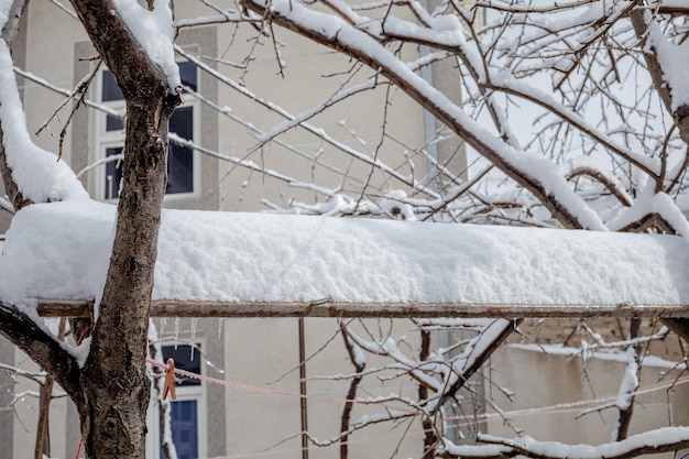 A tree covered in snow with a wire rope hanging from it