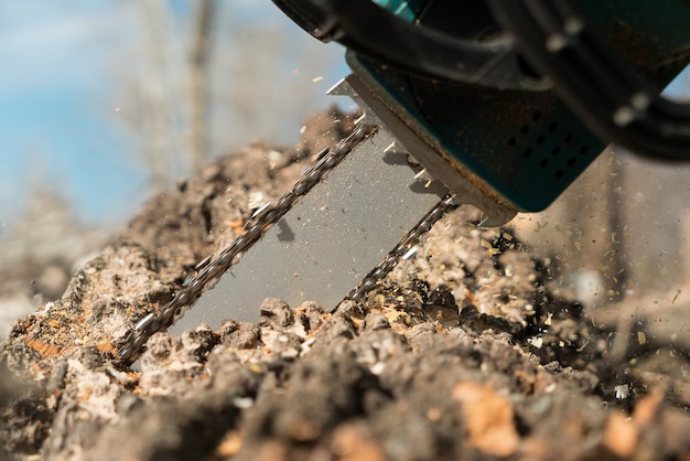 Tree cutting by the chainsaw