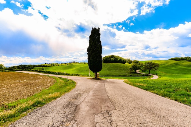 Foto albero su una strada vuota in mezzo a un campo agricolo contro un cielo nuvoloso