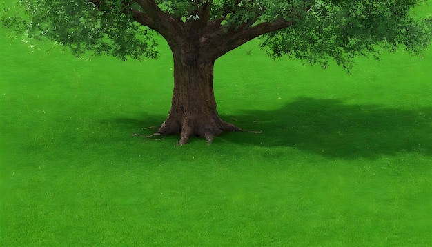 Photo tree on green grass