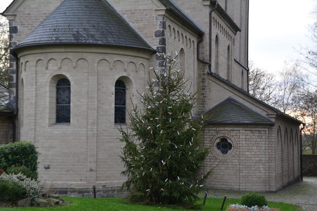 Tree growing by church