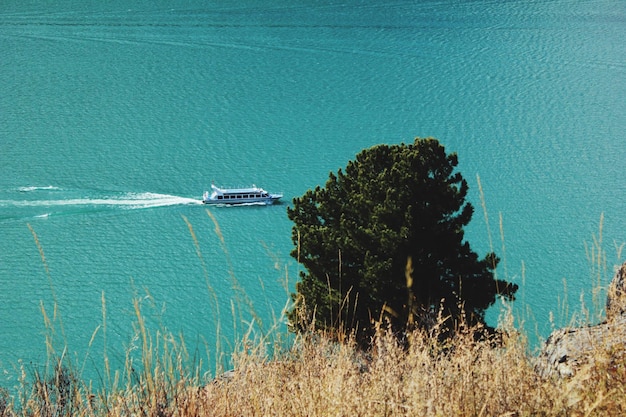 写真 海に逆らって畑で育つ木