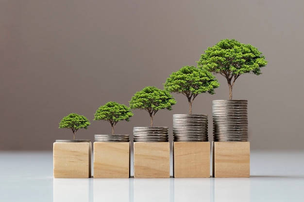 Tree growing on a pile of coins and wooden blocks, the concept of finance and economic growth.