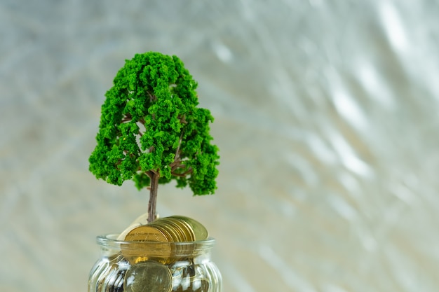 Tree growing on pile of golden coins in glass jar