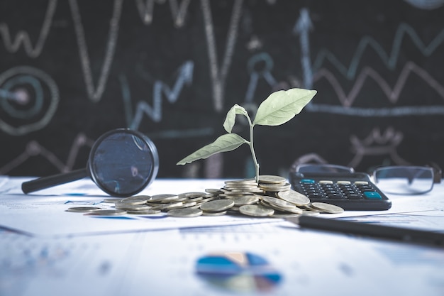 Photo tree growing on stack of coins on financial chart report with magnifying glass and calculator in background