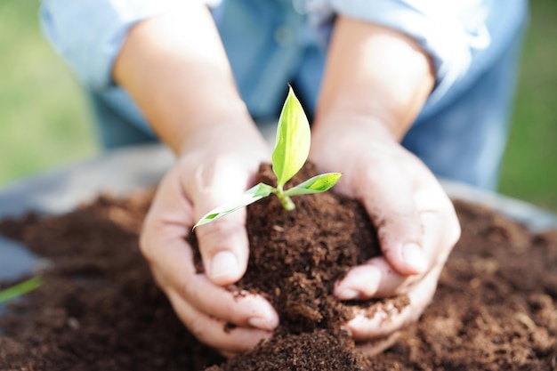 Albero che cresce con la mano eco earth day salva il mondo salva la terra diventa verde