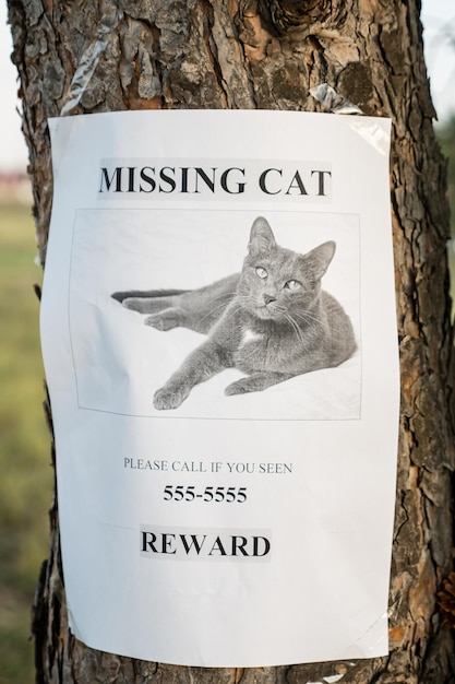 On the tree hangs the announcement of the missing cat