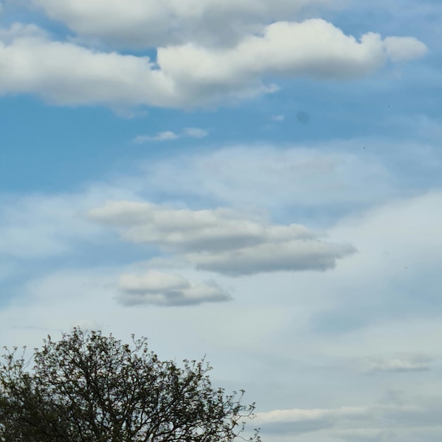 A tree is in the foreground with a blue sky and clouds in the background.