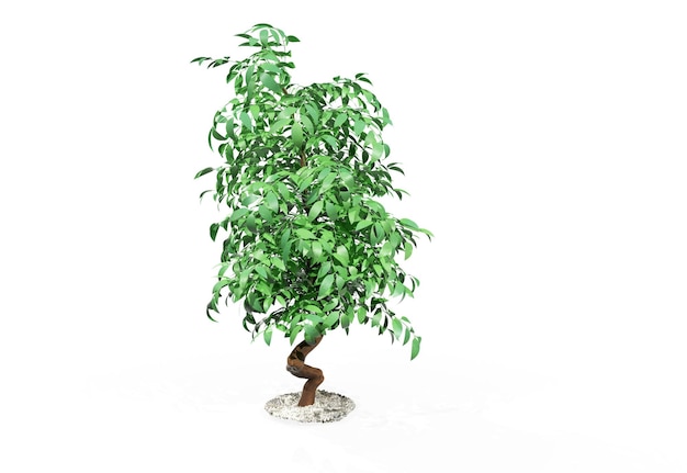 Tree isolated Image useful for banners and posters or photo maipulations 3d render illustration