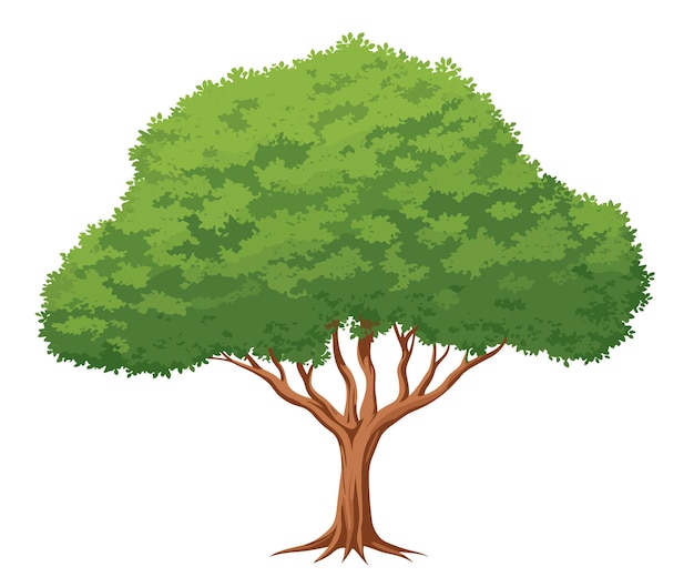 Foto albero isolato su sfondo bianco clip art in stile cartone animato ai generative