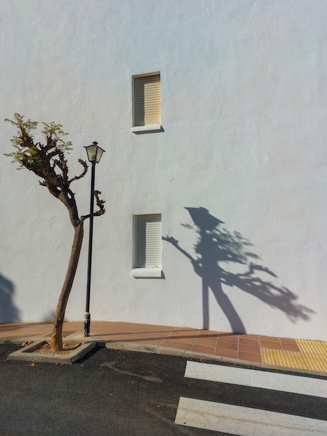 A tree and a lamp post are in front of a white wall