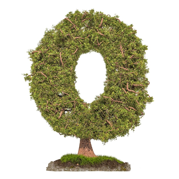 Tree letter O Tree in shaped of letter O 3D rendering