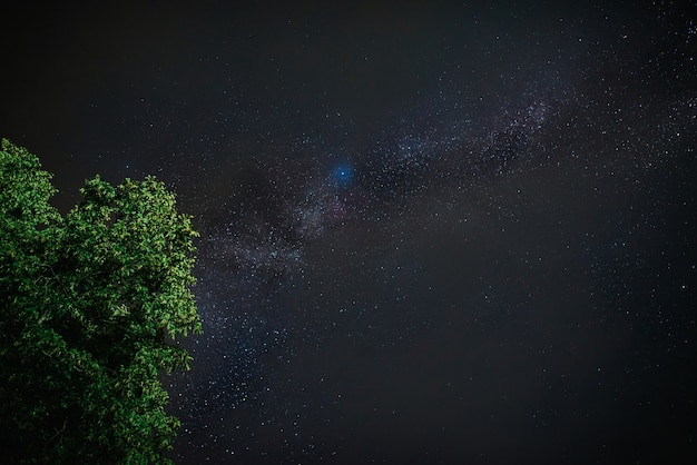 Foto albero e via lattea dietro le nuvole