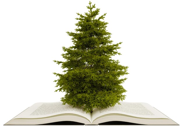 Tree on opened book