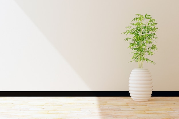 Tree pot and white wall interior decorated