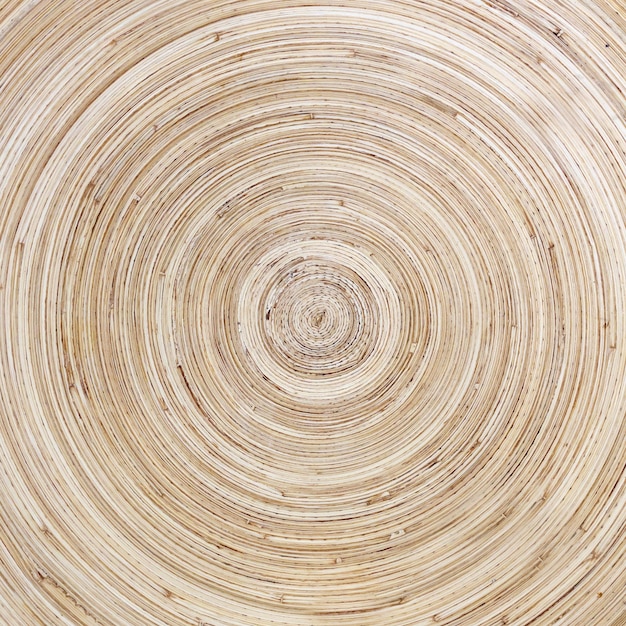 Tree rings background