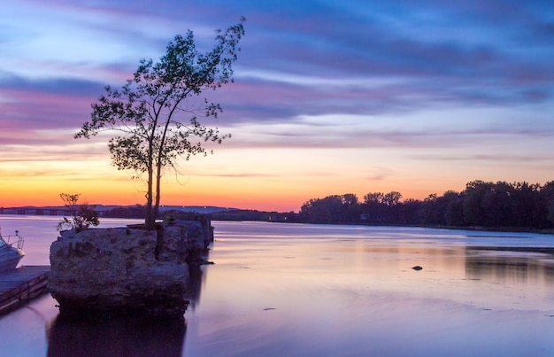 Tree on rock at lake against cloudy sky during sunset