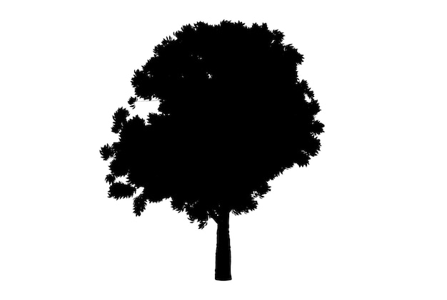 Tree silhouette botanic artwork seasonal wood shape art