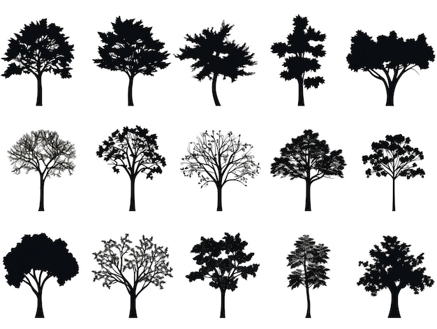 Только изображение коллекции силуэтов деревьев