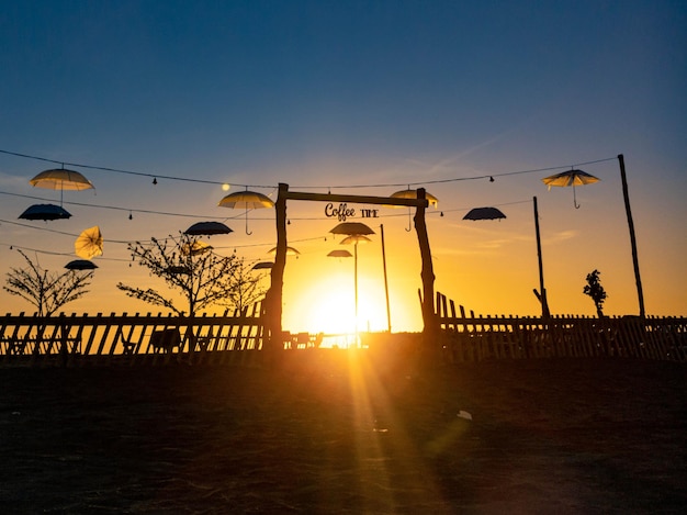 Photo tree silhouette with sunrise in the morning