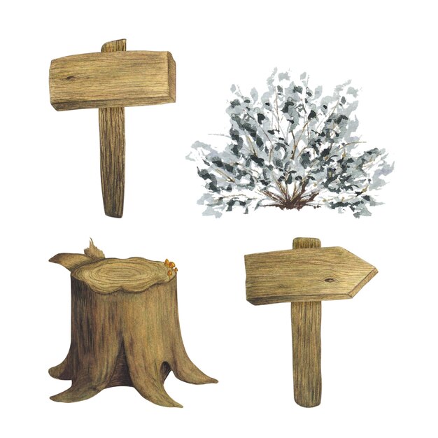 Photo tree stump cut wood trunk wooden shields arrows pointers shrub brush bush watercolor illustration