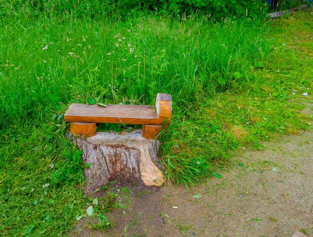 A tree stump with a bench on it that says'the word " on it.