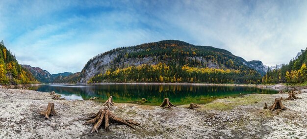 Tree stumps near gosauseen or vorderer gosausee lake upper austria colorful autumn alpine view of mountain lake with clear transparent water and reflections dachstein summit and glacier in far