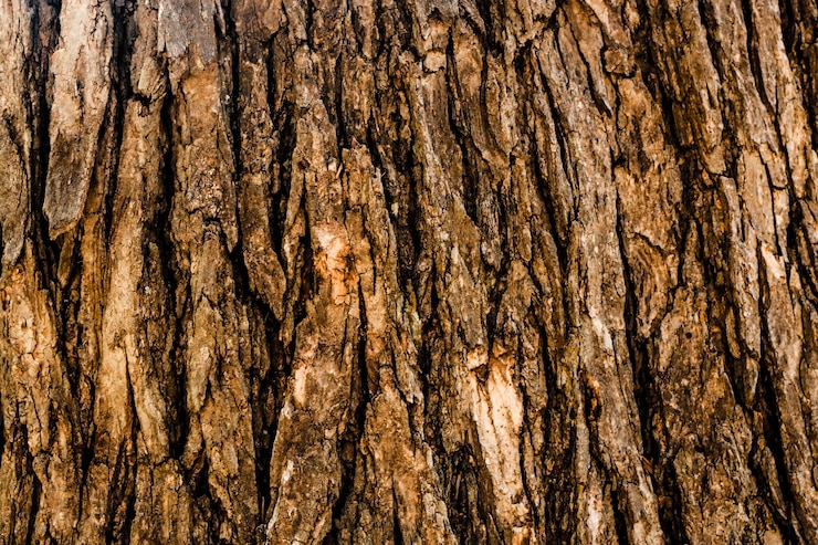 Photo tree surface wooden background