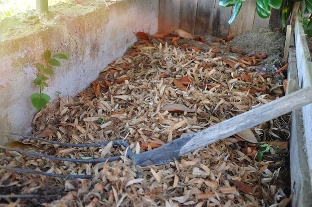 A tree that has been cut into a pile of wood