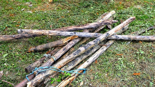 Foto tronco d'albero su erba, struttura in legno naturale.