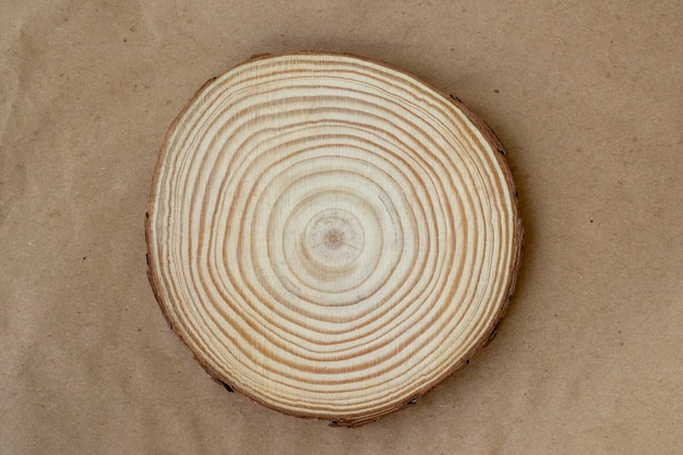 사진 보기 바로 위의 자연 갈색 배경 복사 공간에 연간 고리가 있는 나무 줄기 조각
