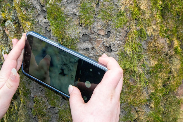 A tree trunk with moss on it and a sky background