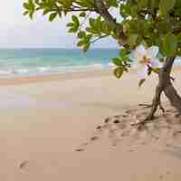 Photo a tree with a flower in the sand and the ocean in the background