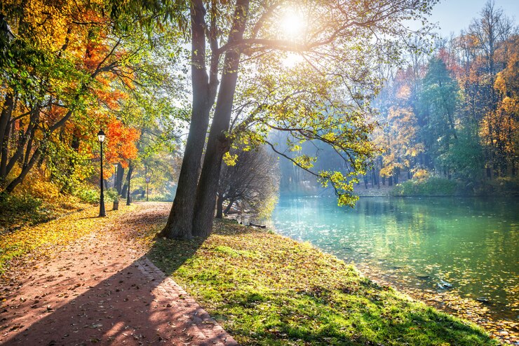 모스크바의 Tsaritsyno 가을 공원에서 나뭇 가지에 햇빛에 빛나는 나뭇잎과 나무