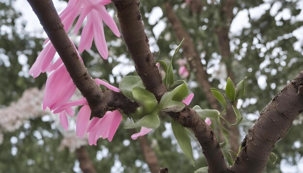 Photo a tree with pink flowers and green leaves
