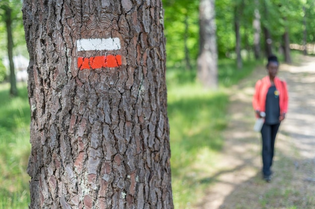a tree with a sign that says  trek  on it