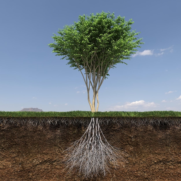 tree with strong and deep roots, 3d render