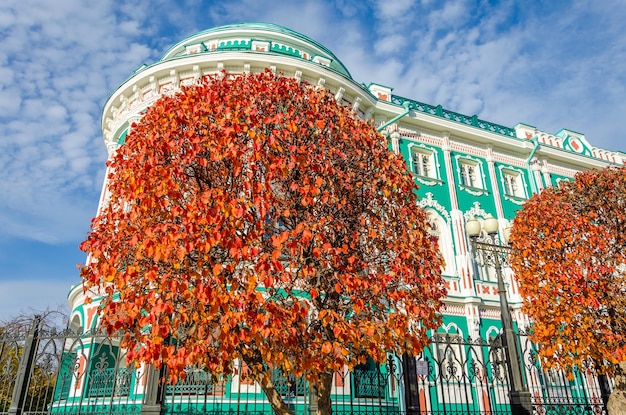 A tree with yellow autumn leaves near an old building.