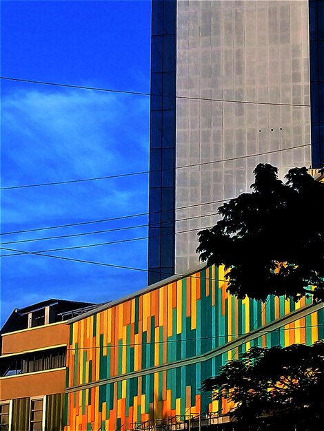 Trees against blue sky