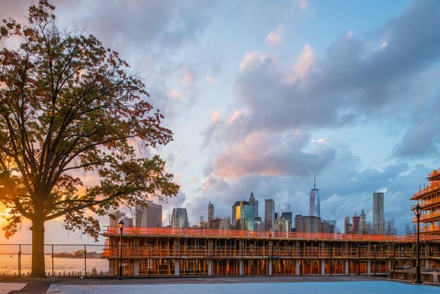 Photo trees against buildings and cloudy sky during sunset in city