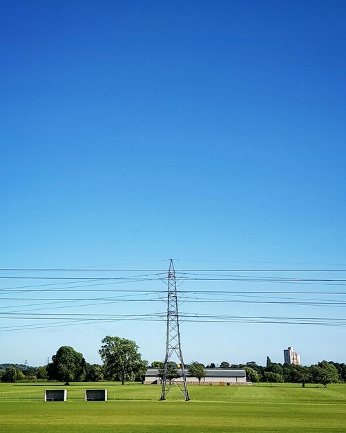 Trees against clear blue sky