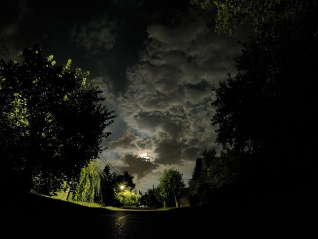 写真 雲の空に覆われた木々