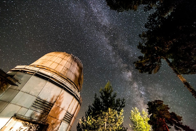 写真 夜空に照らされた木々