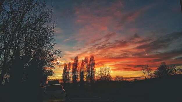 Foto alberi contro il cielo durante il tramonto