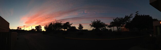 Photo trees against sky at sunset