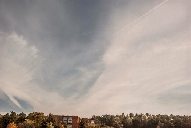 Trees against sky