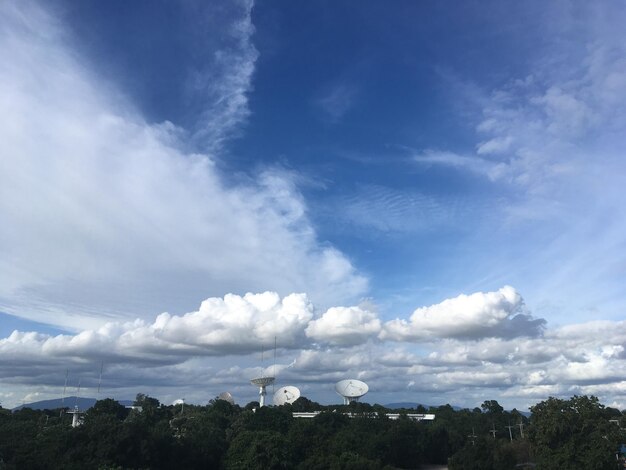 Trees against sky