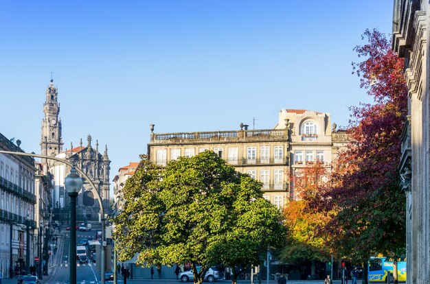 Trees amidst buildings in city against clear blue sky