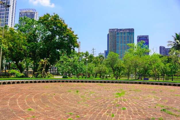 写真 空に照らされた公園の木や建物